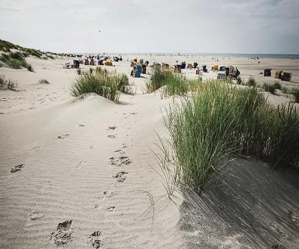 Winkelschiffchen Iv Mit Sauna 公寓